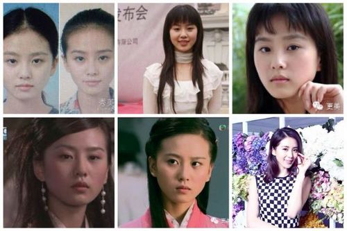 刘诗诗证件照曝光获好评 清纯素颜被赞天然美女