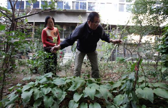 七旬大爷送老伴一花园：年轻时没送你玫瑰