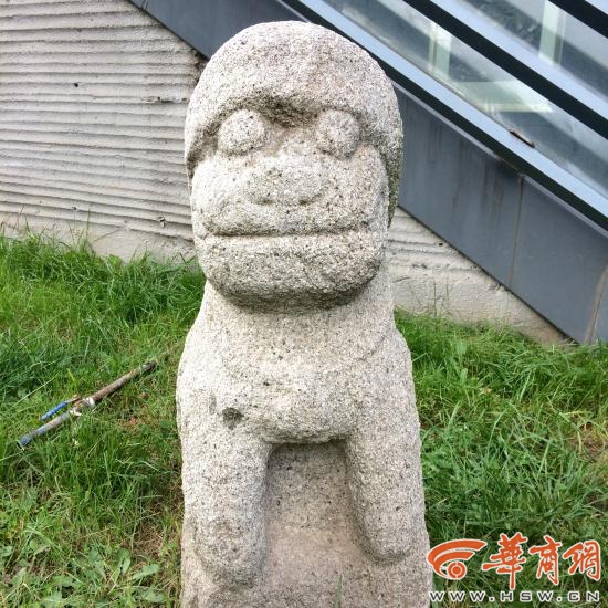 西安一大学家属院现卖萌石头 表情天真萌萌哒