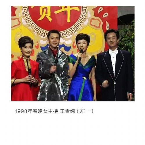 李思思怀孕柴静离职 回顾央视最美女主播