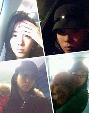 李思思怀孕柴静离职 回顾央视最美女主播