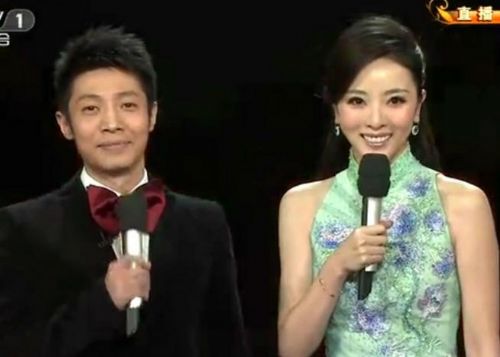 李思思怀孕柴静离职 回顾央视最美女主播