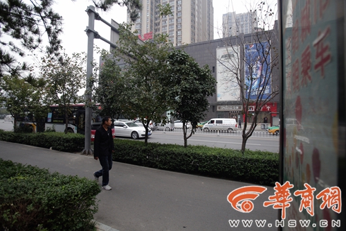 公交车和站牌被隔离 乘客机动车道上下车 