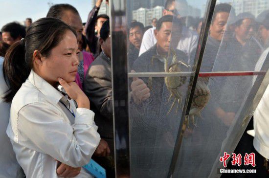 江苏洪泽举办螃蟹趣味运动会 比赛跑还比空翻