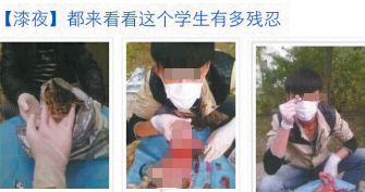 白银中学生虐猫网帖。网帖截图