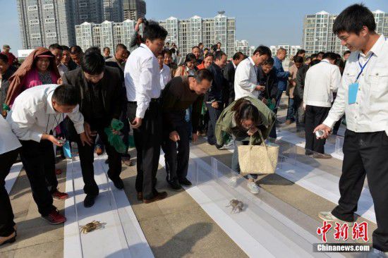 江苏洪泽举办螃蟹趣味运动会 比赛跑还比空翻