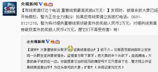 云南西双版纳大象遭砍头取牙 警方悬赏4万追凶