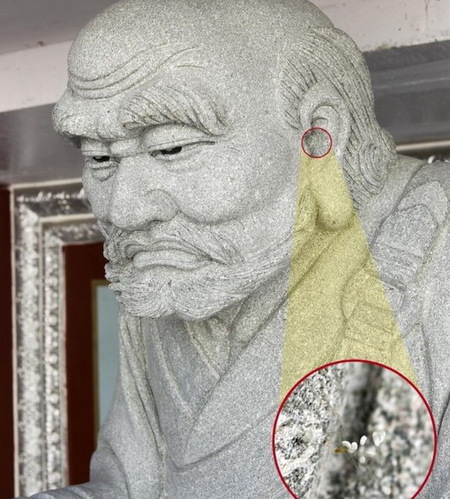 韩国中源大学惊现优昙婆罗花 相传3000年一见