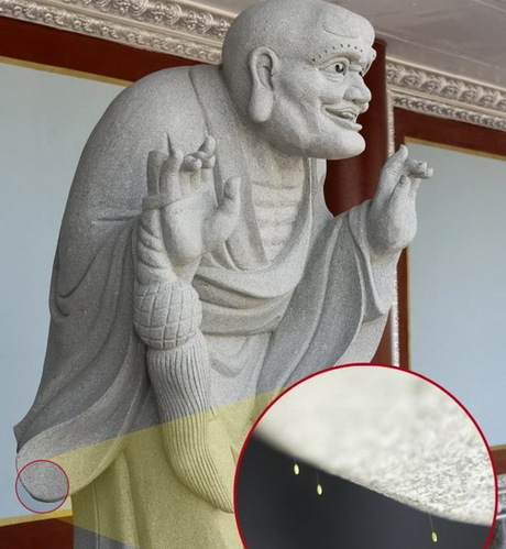 韩国中源大学惊现优昙婆罗花 相传3000年一见