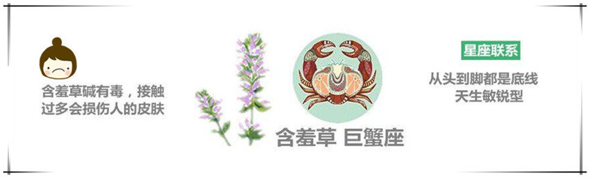 巨蟹座_副本.jpg