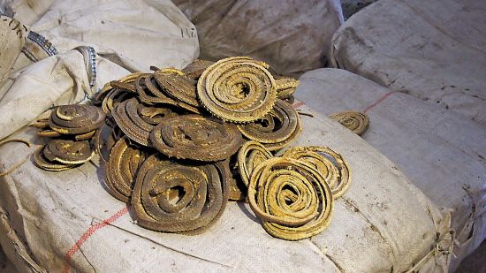 1.5吨走私灰鼠蛇被销毁 谎报鸡蛋花通关未遂