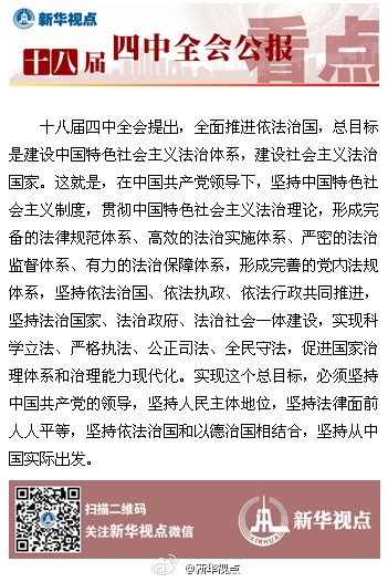 全会审议通过全面推进依法治国若干重大问题的决定
