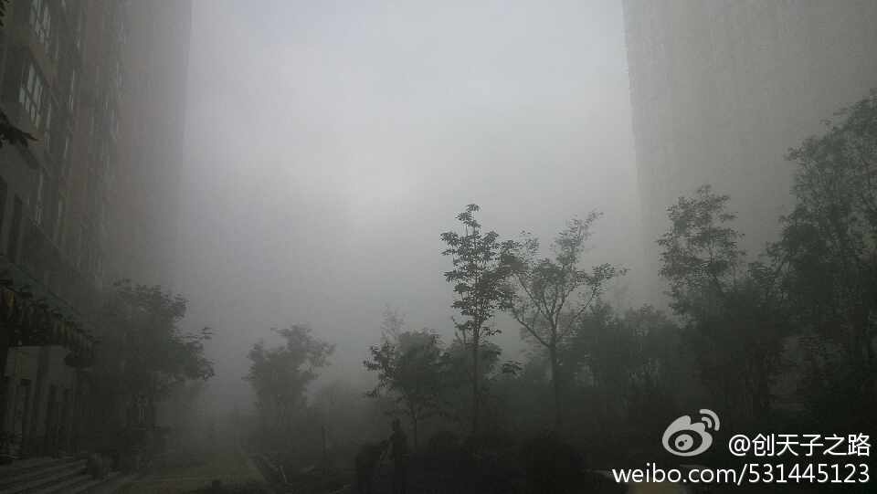 北郊“仙境”是如何炼成? 气象员：与靠近渭河有关