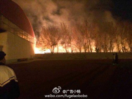 辽宁一男大学生放烟花向学姐表白引大火(组图)