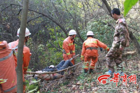 男子上山摘野果补贴家用 从3米高树上摔下