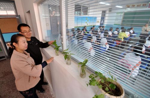 班主任教室后办公 评论：藏着班主任的玻璃房 折射了什么(图)