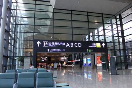 官员不会办登机 症结在于长期四体不勤高高在上(图)