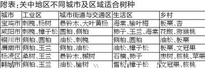 关中森林吸尘吞霾 一年吸收CO₂ 颗粒可堆550米城墙