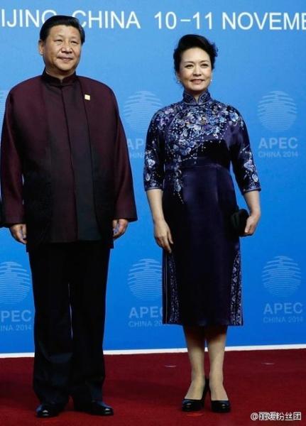 习近平携夫人彭丽媛欢迎各经济体领导人