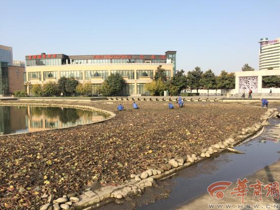 高新区永阳公园没水了？ 回应：冬季清湖