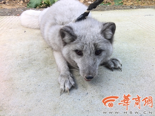 QQ图片20141111162923.jpg