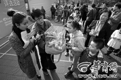 西安“最佳人居环境奖”10强小区评审团测评结束