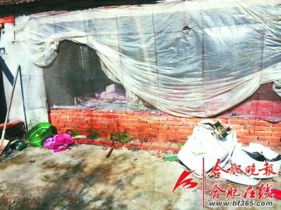 父母重病致生活窘迫 安徽一13岁女孩住鸽棚(图)