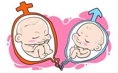 双子宫双阴道产双胞胎 这么任性你知道咋回事吗？