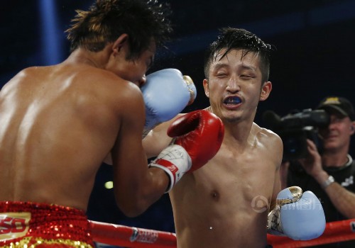 邹市明浴血完胜泰国拳王 眉骨被撞鲜血直流【组图】