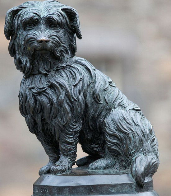 俄忠犬在医院苦侯1年 等待去世主人出现(组图)