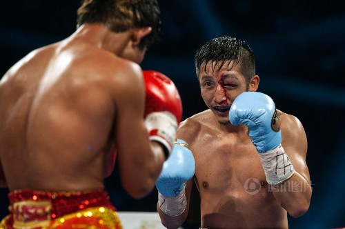 邹市明浴血完胜泰国拳王 眉骨被撞鲜血直流【组图】