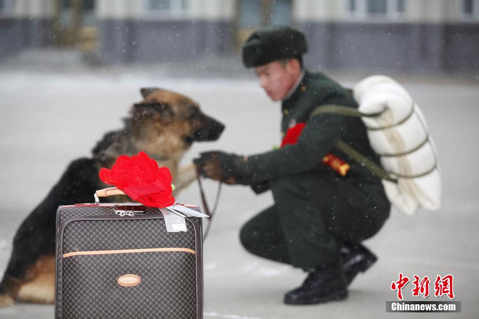 黑河国门哨兵退伍 军犬依依惜别紧追不舍（组图）