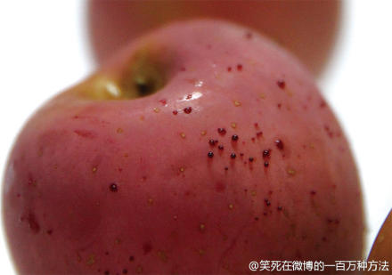 渗血苹果