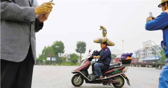 浙江“顶狗哥”头顶400斤水泥袋走红(图)