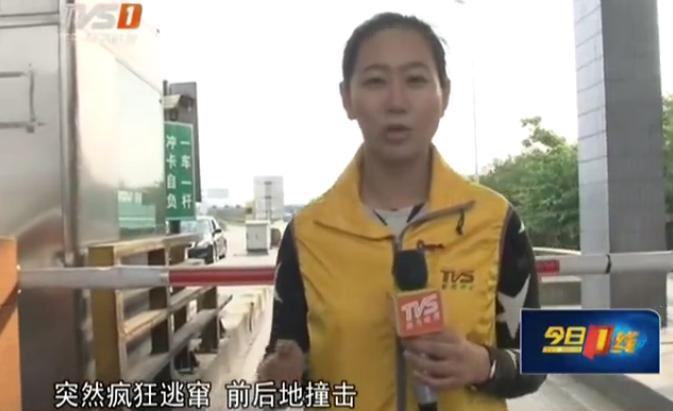 广东毒枭驾车撞警察发生激烈枪战 现场堪比警匪大片