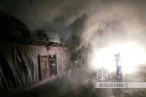 哈尔滨一辆挂车发生火情 所载19辆新车全过火