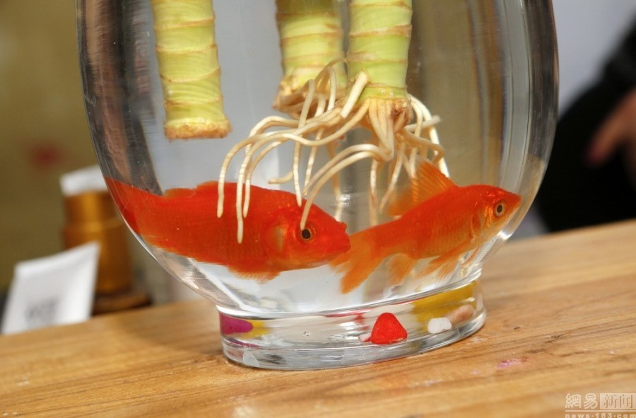 摄影师记录河南90后钢管舞女神