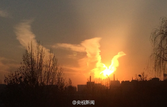 北京火凤凰照片网上热传 壮丽华美让人惊叹
