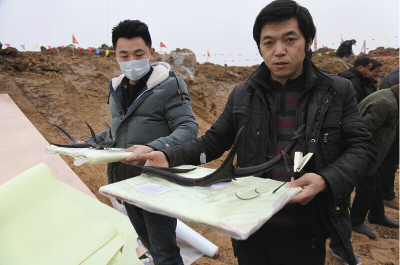 楚墓出土阳干鱼 前所未闻研究价值重大