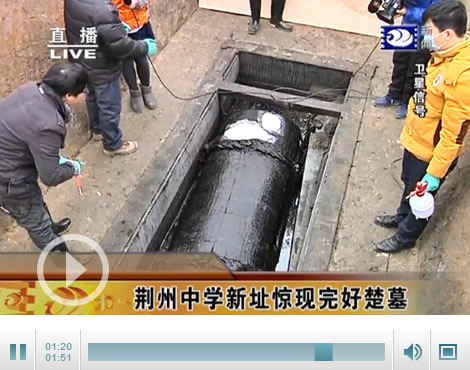楚墓出土阳干鱼 前所未闻研究价值重大