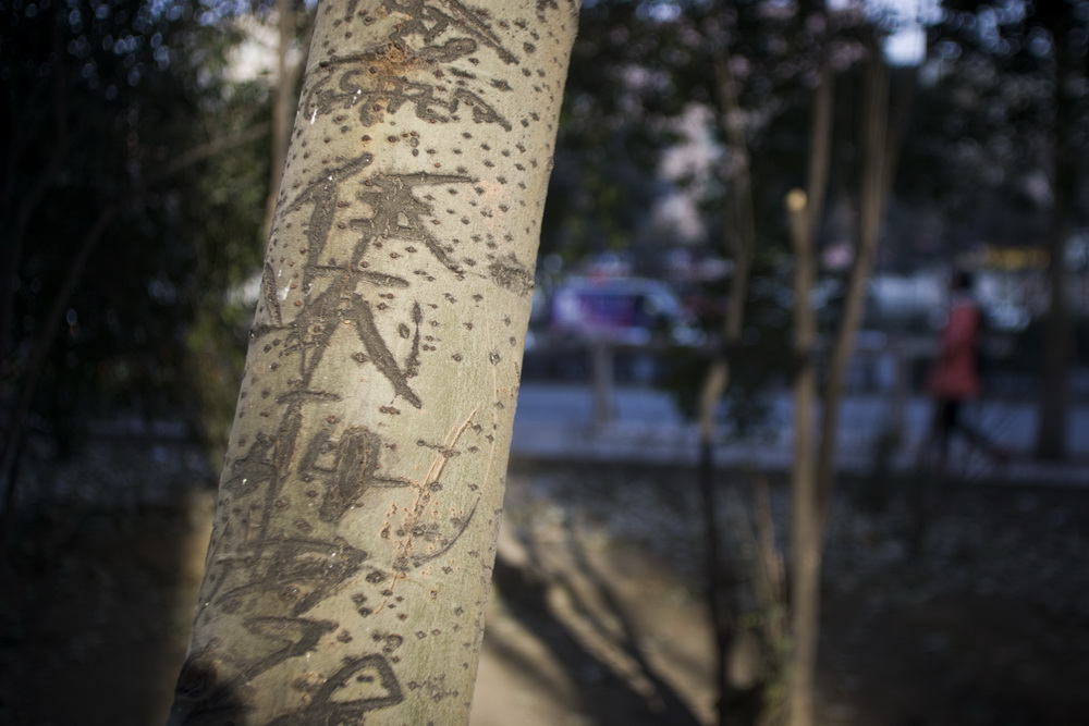 11_调整大小.jpg