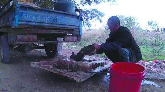 佛山当街烘烤活猫狗 遍地血迹环境恶劣顾客仍不少