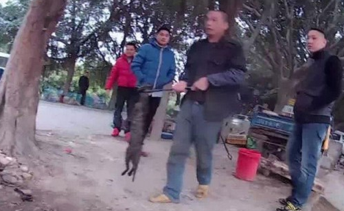 广东佛山黑市肉贩当街宰杀烘烤活猫