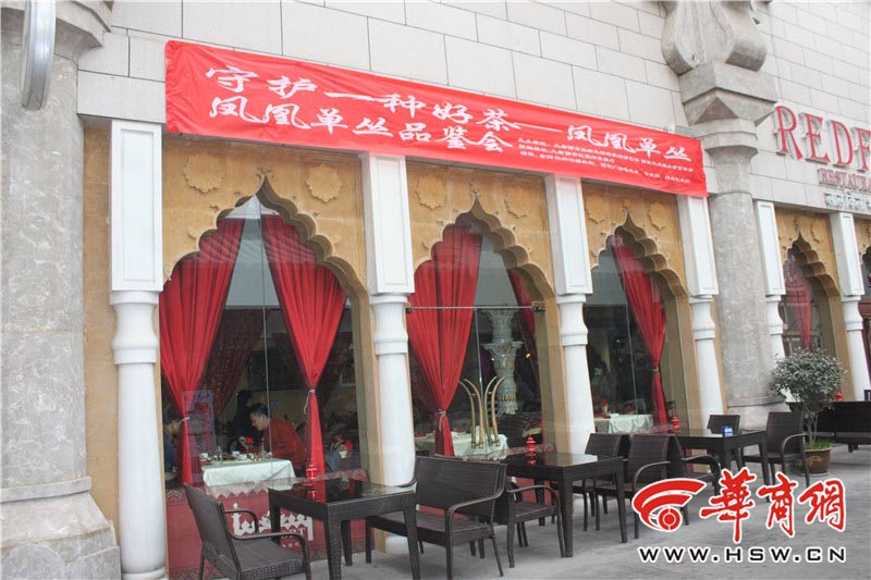 守护一种好茶——凤凰单丛品鉴会