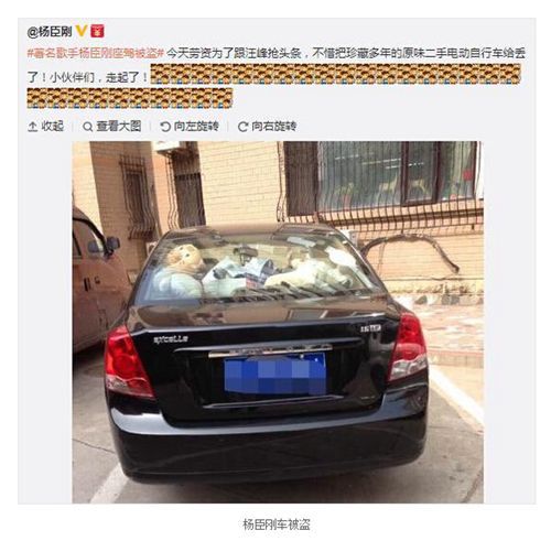 歌手杨臣刚爱车被盗调侃：与汪峰抢头条（图）