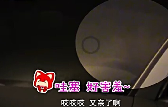 杨紫与男友车内缠绵
