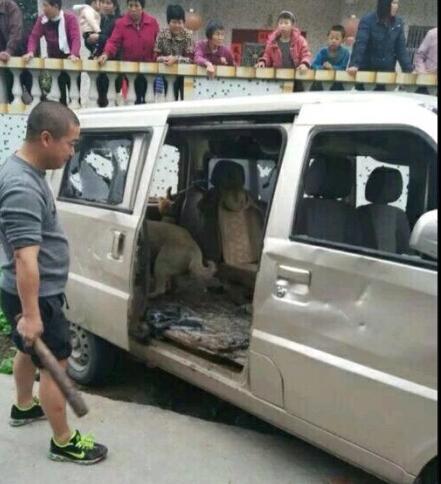 关注：假驴友街头行乞被暴打 广东偷狗贼手脚筋被挑断/组图