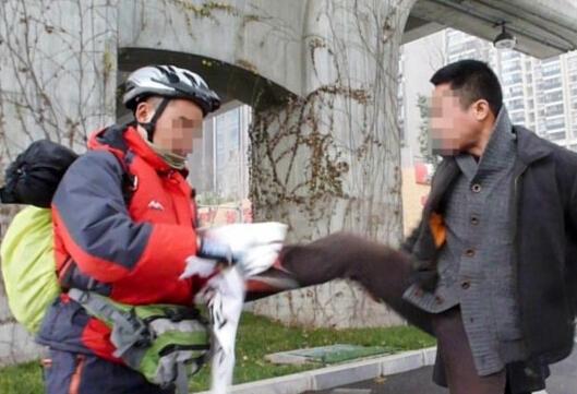 关注：假驴友街头行乞被暴打 广东偷狗贼手脚筋被挑断/组图