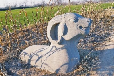 永昌陵的石羊雕塑彭保红图