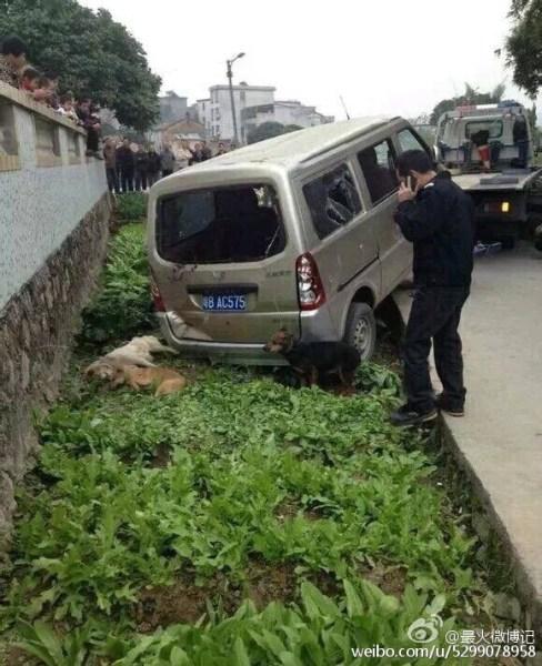 聚焦：台湾监狱挟持案嫌犯自尽 广东偷狗贼手脚筋被挑(图)